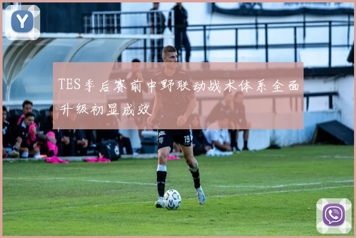 TES季后赛前中野联动战术体系全面升级初显成效