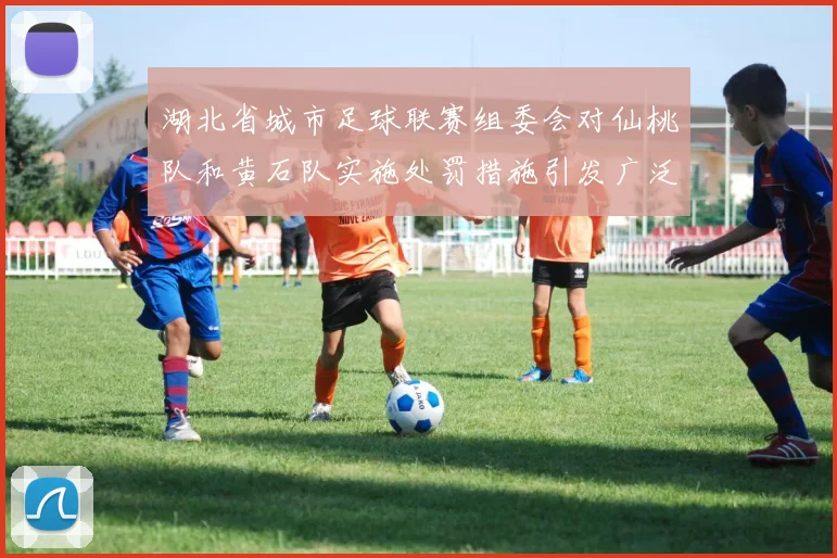 湖北省城市足球联赛组委会对仙桃队和黄石队实施处罚措施引发广泛关注